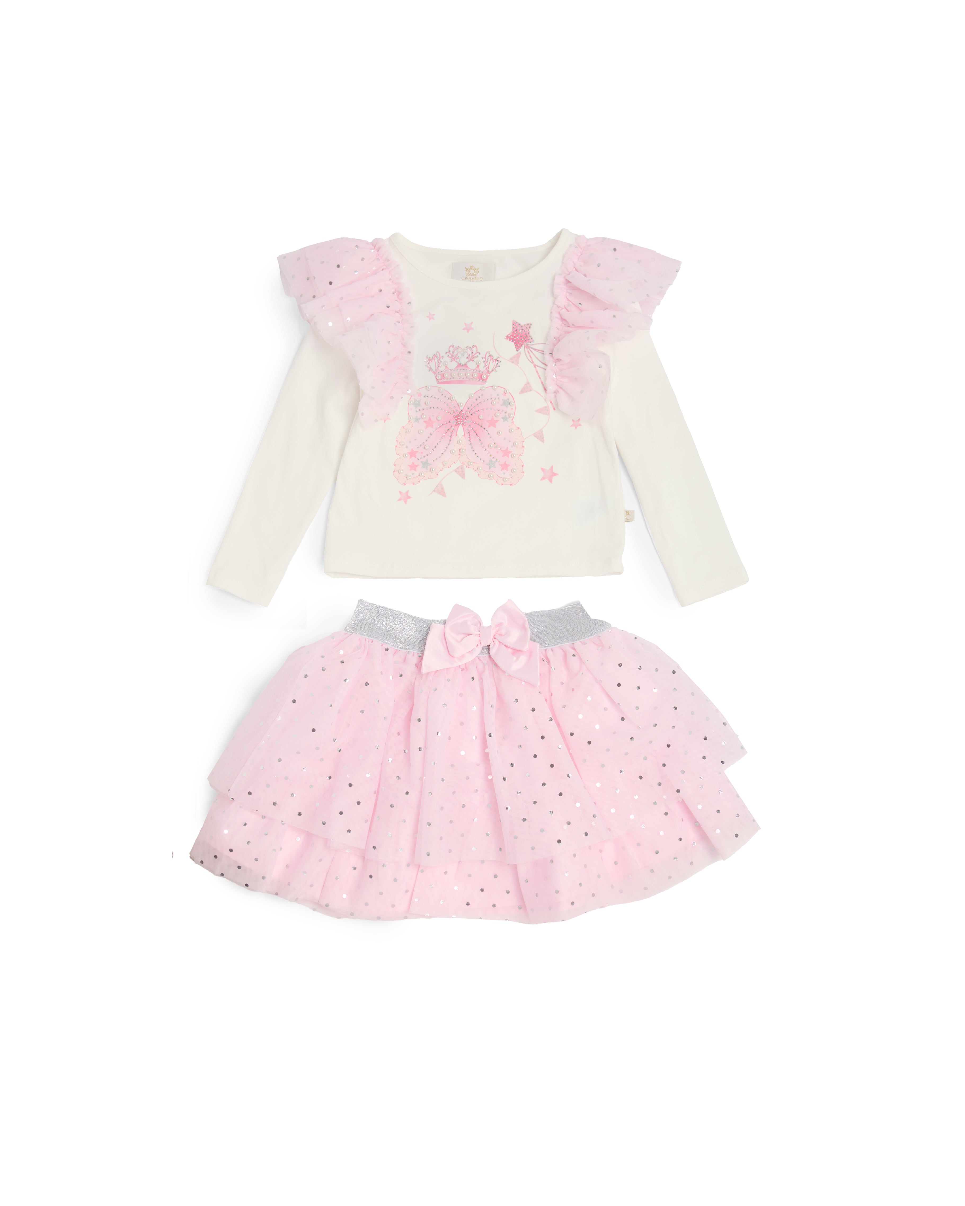 Pink Fairy Wing & Crown Skirt Set